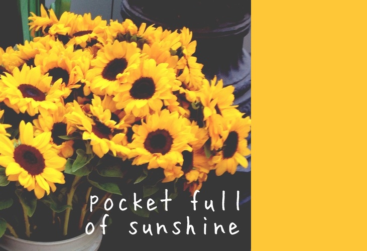 Pocketful of Sunshine